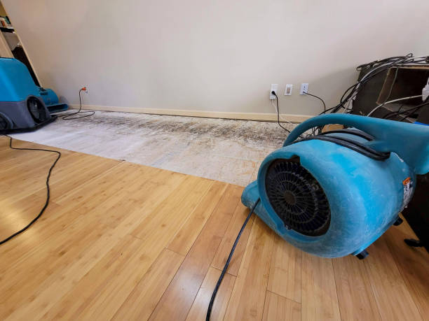 Professional Flood Damage Cleanup technician working in Tigerton, WI